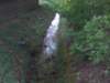 dscn0724_small.jpg