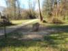 dscn0131_small.jpg