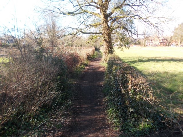 dscn0135.jpg