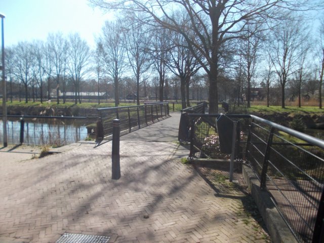 dscn0156.jpg