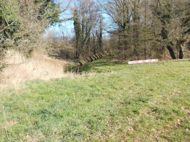 dscn0165.jpg