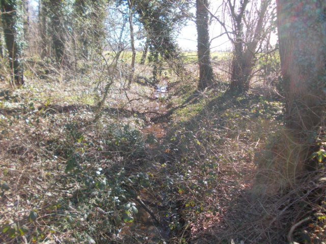 dscn0166.jpg