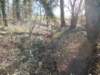 dscn0166_small.jpg