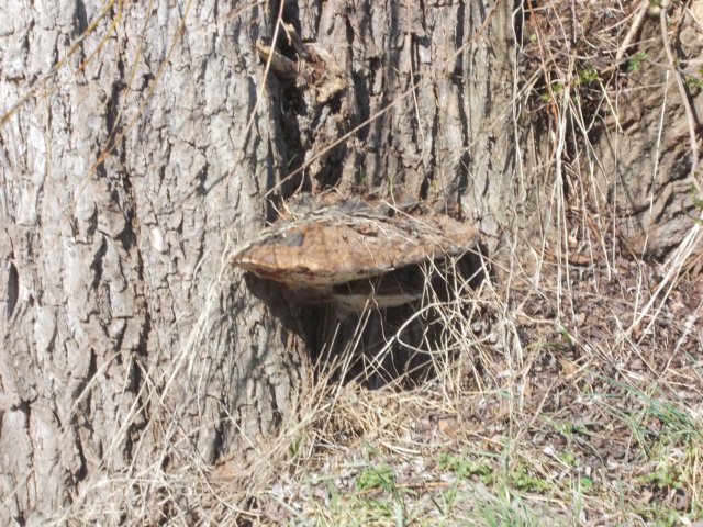 dscn0174.jpg