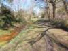 dscn0175_small.jpg