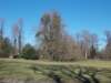 dscn0177_small.jpg