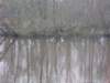 dscn0952_small.jpg