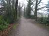 dscn0953_small.jpg