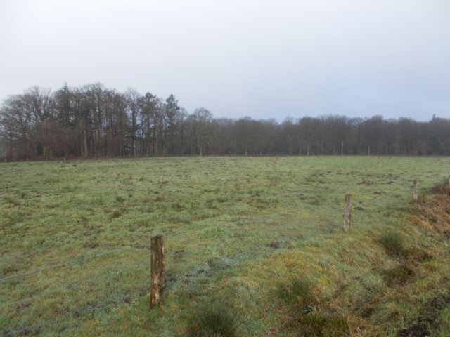 dscn0960.jpg