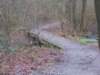 dscn0961_small.jpg