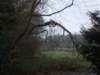dscn0962_small.jpg