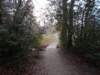 dscn0963_small.jpg
