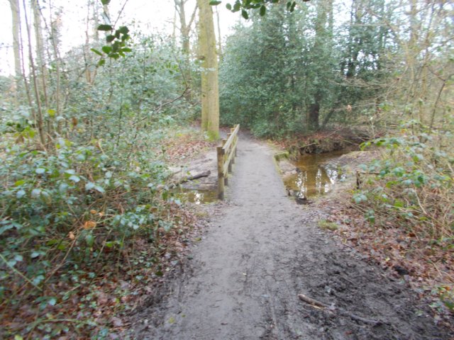 dscn0964.jpg