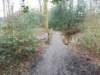 dscn0964_small.jpg