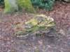 dscn0969_small.jpg