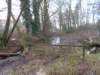 dscn0970_small.jpg