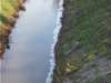 dscn1029_small.jpg