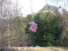 dscn1032_small.jpg
