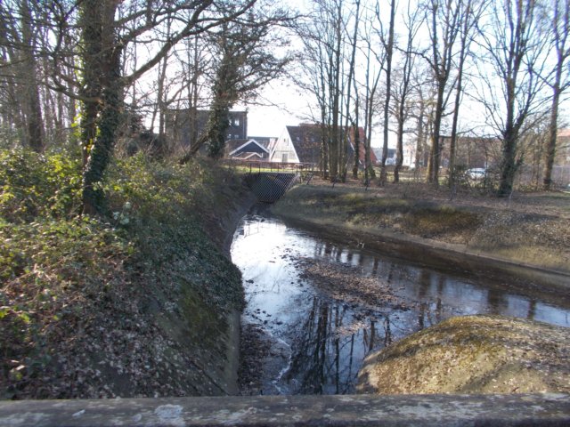 dscn1043.jpg