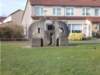 dscn1046_small.jpg