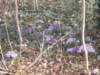 dscn1047_small.jpg