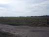 dscn1051_small.jpg
