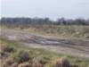 dscn1055_small.jpg
