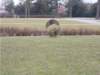 dscn1064_small.jpg