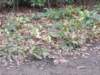 dscn1068_small.jpg