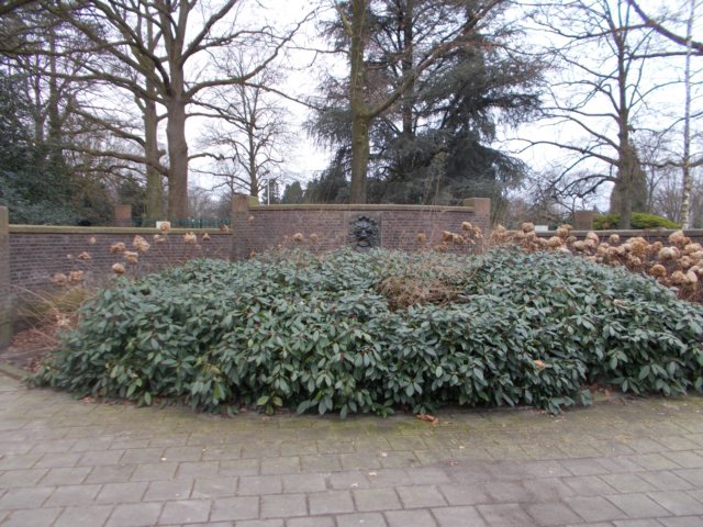 dscn1071.jpg