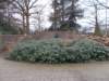 dscn1071_small.jpg