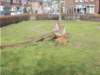 dscn1137_small.jpg