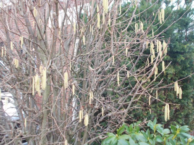 dscn1142.jpg