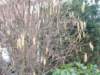 dscn1142_small.jpg
