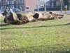 dscn1182_small.jpg