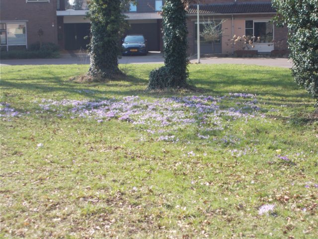 dscn1187.jpg