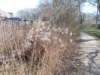 dscn1188_small.jpg