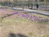 dscn1194_small.jpg