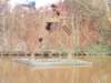 dscn1198_small.jpg