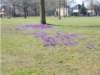 dscn1212_small.jpg