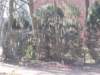 dscn1213_small.jpg