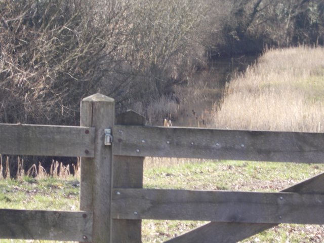 dscn1216.jpg