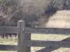 dscn1216_small.jpg