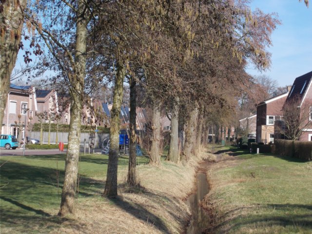 dscn1221.jpg