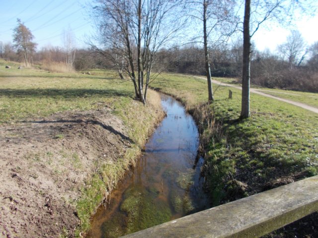 dscn1226.jpg