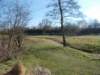dscn1229_small.jpg