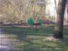 dscn1238_small.jpg