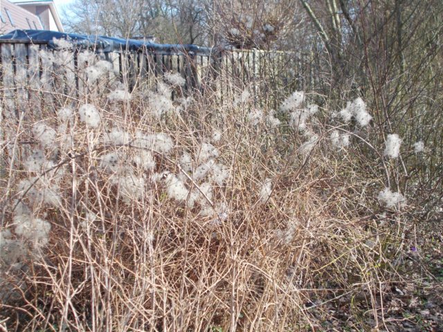 dscn1272.jpg