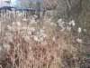 dscn1272_small.jpg