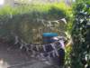 dscn1274_small.jpg